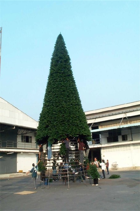 Building a giant tree