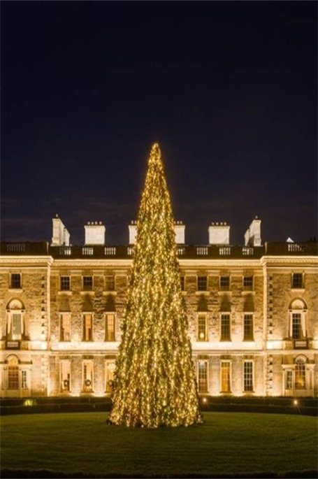 2025 carton house  Thumbnail0 THE TREE IS 12M WITH 20000 LED LIGHTS 