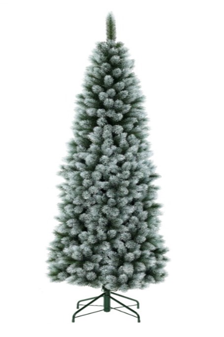 Zoomed Image