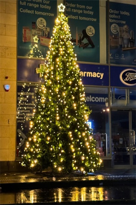 6m giant sligo  Thumbnail0