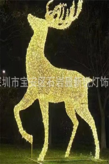 Zoomed Image