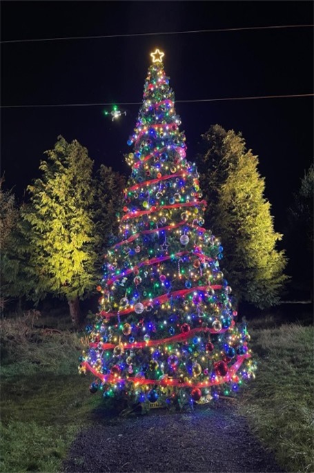 THIS IS THE 6M RTE TOY SHOW CHRISTMAS TREE BEAUTIFULLY  DECORATED IN A MULTI COLOURED THEME