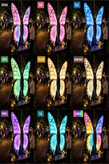 V I V I 12  B U T T E R F L I E S  COLOURS AVAILABLE