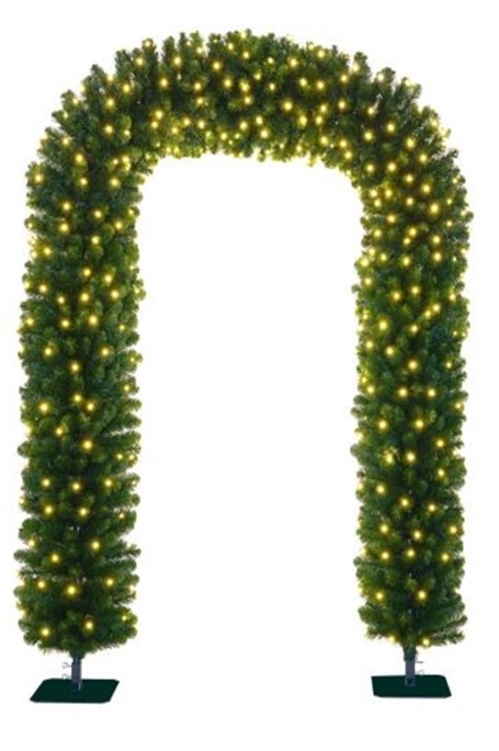 Zoomed Image