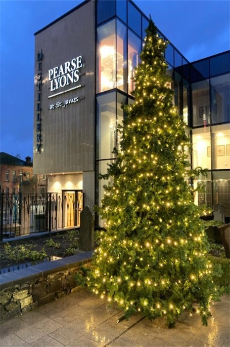 Pearse lyons 24  Thumbnail0