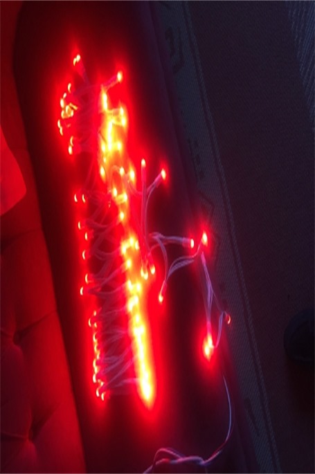 red led lights available in strings of 50