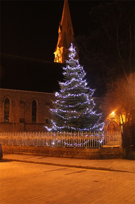 Ringsend tree 2. J P G  Thumbnail0